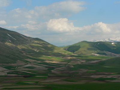 Altoplano